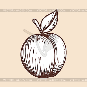 Icon Of Peach - vector clipart