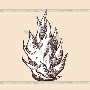Icon Of Dragon Fruit - vector image