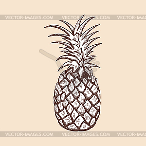 Icon Of Pineapple - vector image