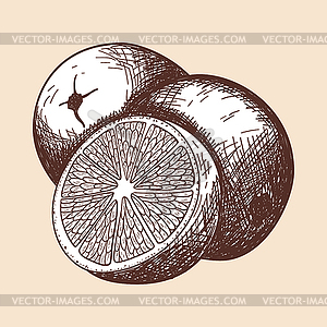 Icon Of Orange - vector clipart