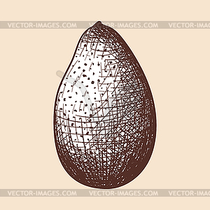 Avocado Icon - color vector clipart