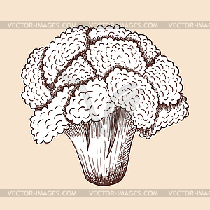 Cauliflower Icon - vector clipart