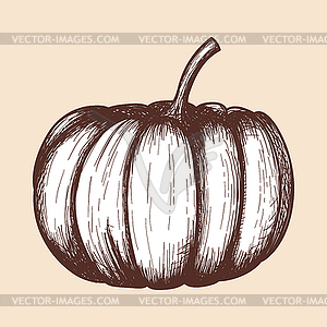 Pumpkin Icon - vector clipart