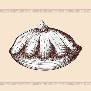 Bush Pumpkin Icon - vector clip art