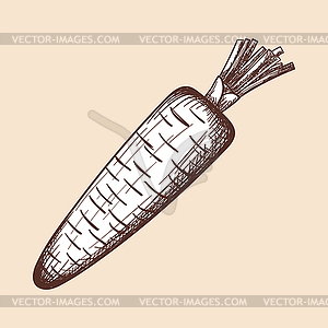 Carrot Icon - vector clipart / vector image