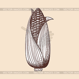 Corn Icon - vector clip art