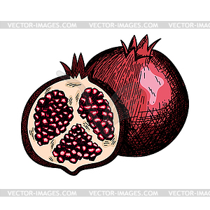 Icon Of Pomegranate - royalty-free vector image