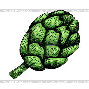 Artichoke Icon - vector image