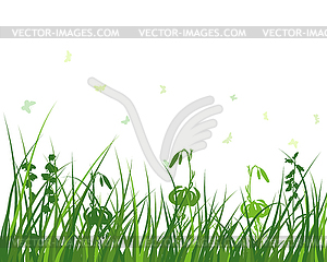 Green Grass Meadow - vector clipart