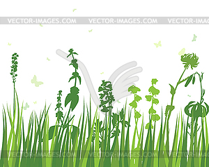 Green Grass Meadow - vector clip art