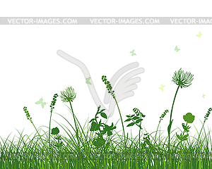 Green Grass Meadow - vector clipart