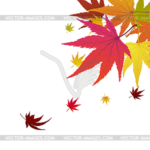 Maple Autumn Banner - vector clipart