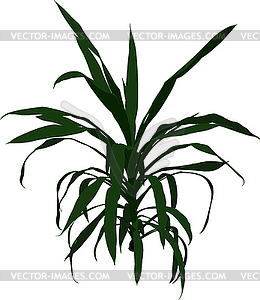 Home Palm Tree - vector image