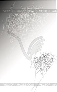 Large spider web - vector image