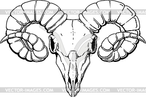 Black ram skull - vector image