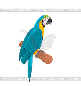 Pretty Blue Parrot Ara on Branch. Bird - vector image