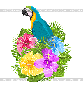 Попугай Ара, красочные цветы гибискуса и Blossom - иллюстрация в векторе