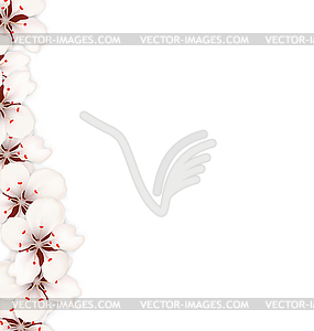 Sakura Flowers Background. Cherry Blossom - vector clipart / vector image