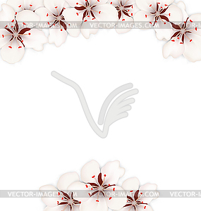 Frame with Sakura Flowers Blossom - vector clip art