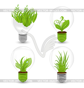 Set of Light Bulbs with Plant and Leaves Growing - vector image