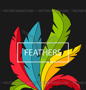Creative Background with Colorful Feathers - vector clipart