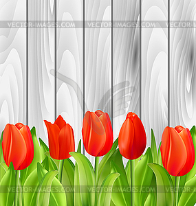 Beautiful Tulips Flowers on Wooden Background - vector clipart