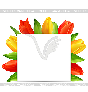 Abstract Clean Card with Bunch of Spring Tulips - vector image