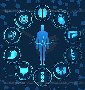 Medical Health Care, Human Organs, Virtual Body Hi - vector clipart