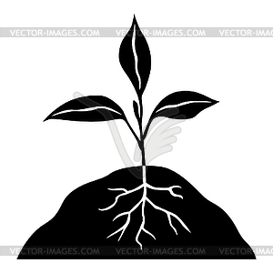 Icon of sprout with roots - vector image