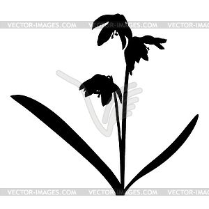 Decorative bluebell silhouette icon - vector image