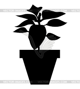 Silhouette of pepper seedlings in pot - vector EPS clipart