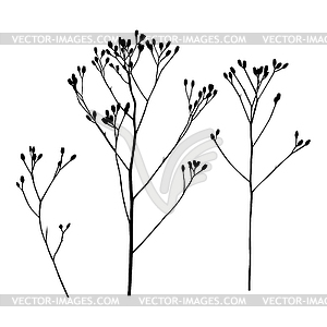 Dried flower icon set - stock vector clipart