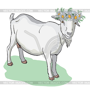 Young cute goat wearing crown of of camomiles - vector clipart