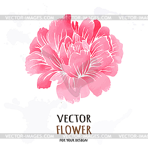 Realistic dahlia flower - vector clip art