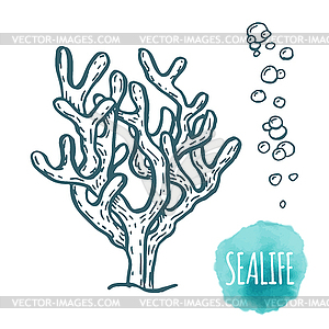 Aquatic coral doodle  - vector clipart