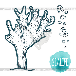 Aquatic coral doodle  - vector clipart