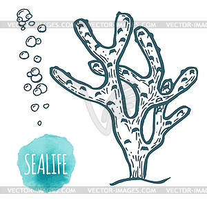 Aquatic coral doodle  - vector clip art