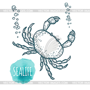 Crab drawing. outline seafood  - vector image