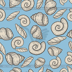 Seashell collection aquatic doodle . Sketch seamles - vector image