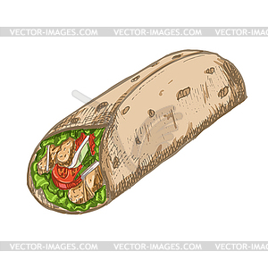 Vintage burrito drawing. fast food  - vector image