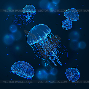 Sketch jellyfish, marine animals - vector clipart