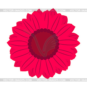 Blooming - vector image