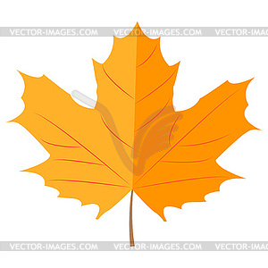 Autumn maple leaf - vector clipart