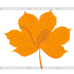 Autumn chestnut leaf - vector image