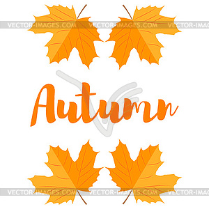 Autumn maple leaf - vector clipart