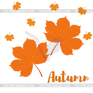 Autumn yellow Leaves of chestnut - vector clip art