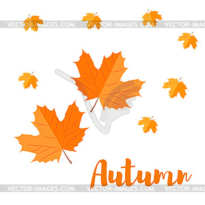 Осенний кленовый лист - графика в векторном формате