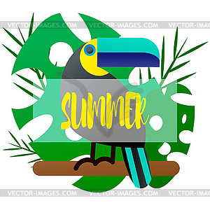 Bright tropical bird Toucan - vector clipart