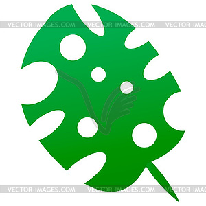 Green leaves of tropical plant Monstera - vector image