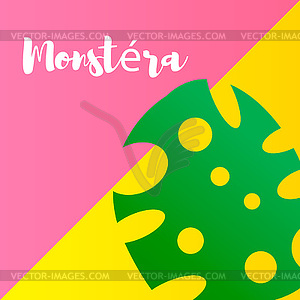 Green leaves of tropical plant Monstera - vector clipart